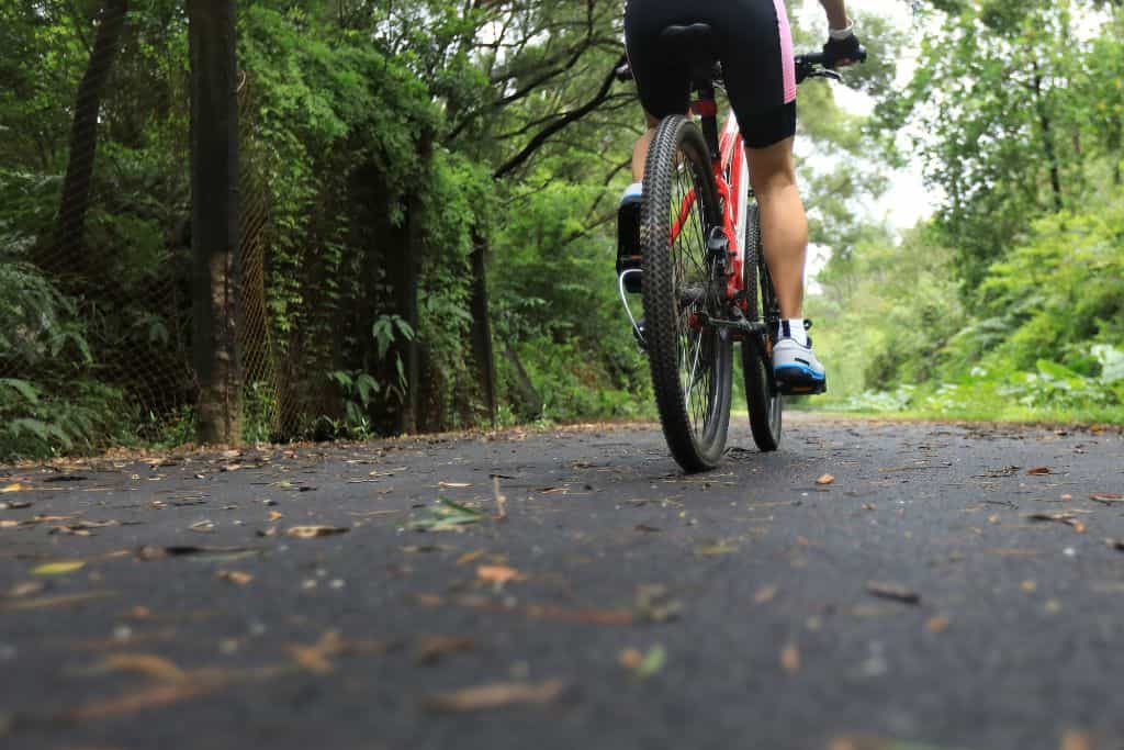 Low-angle rear view of a cyclist riding a red mountain bike on a leaf-strewn asphalt path through a green forest